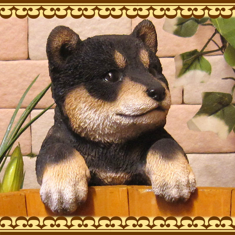 �ꥢ��ʸ�����ʪ���֤餵���ꡡ���ơ����̤Υե��������ɥå����֥����������ǥ˥󥰡����������衡���������Υ���ƥꥢ�ˤ����Υ����ʥ��ȤȤ��Ƥ����