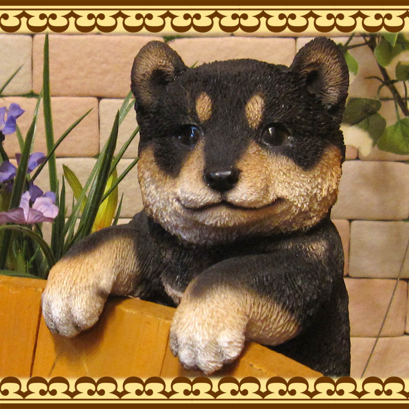 �ꥢ��ʸ�����ʪ���֤餵���ꡡ���ơ����̤Υե��������ɥå����֥����������ǥ˥󥰡����������衡���������Υ���ƥꥢ�ˤ����Υ����ʥ��ȤȤ��Ƥ����