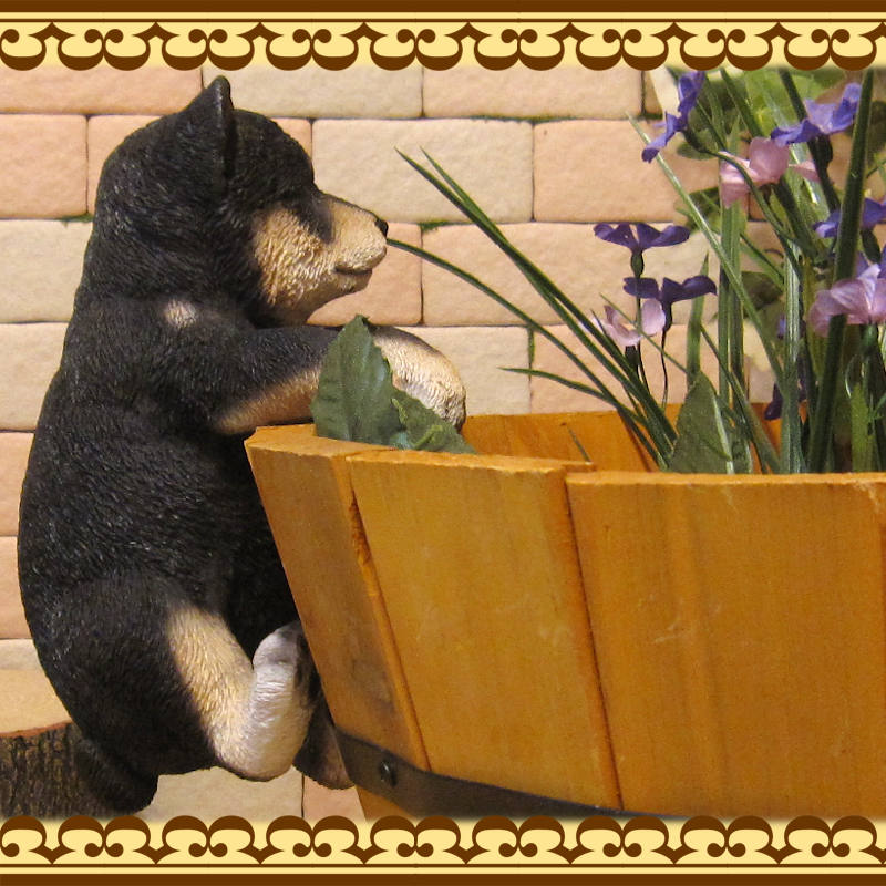 �ꥢ��ʸ�����ʪ���֤餵���ꡡ���ơ����̤Υե��������ɥå����֥����������ǥ˥󥰡����������衡���������Υ���ƥꥢ�ˤ����Υ����ʥ��ȤȤ��Ƥ����