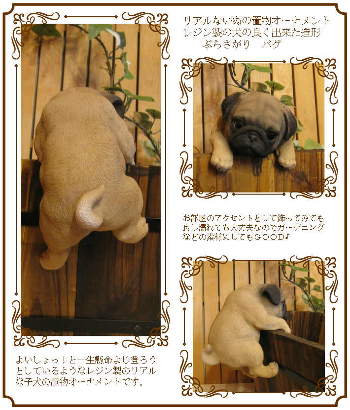 ���������Υ���ƥꥢ�ˤ����Υ����ʥ��ȤȤ��Ƥ�����ꥢ��ʸ�����ʪ���֤餵����ѥ������̤Υե�����