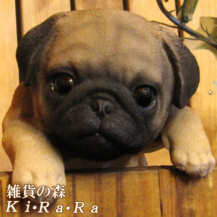 ���������Υ���ƥꥢ�ˤ����Υ����ʥ��ȤȤ��Ƥ�����ꥢ��ʸ�����ʪ���֤餵����ѥ������̤Υե�����