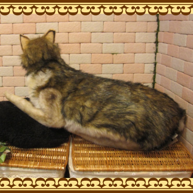 �������ߡ��ӥå����������ꥢ���ϵ�Τ̤�����ߡ�ưʪ���֥�������ʪ�����˥ޥ륰�å����ե����奢������ƥꥢ