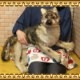 �������ߡ��ӥå����������ꥢ���ϵ�Τ̤�����ߡ�ưʪ���֥�������ʪ�����˥ޥ륰�å����ե����奢������ƥꥢ