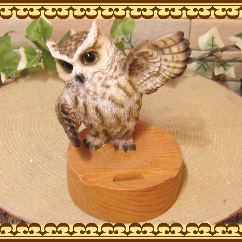 ꥢʪդޥۥɡ롡¥ס塡ޡȥե󡡥ޥۥۥΥƥꥢˤΥʥȤȤƤĻΥեǥ˥󥰡֥