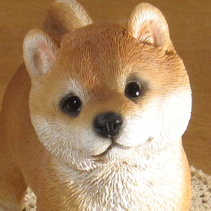 �Ƹ�����ʪ�����󤪻����桡�İ��������̥��֥������ꥢ�롡�����ǥ˥󥰡�Ź�������������󥿡��������衡�٥���������