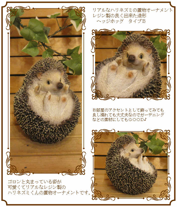 �ϥ�ͥ��ߤ���ʪ���¥����ס��ĸ������إå��ۥå����ꥢ�롡�Ϥ�ͤ��ߡ����֥����������ǥ󡡥٥��������ȡ������ʥ���