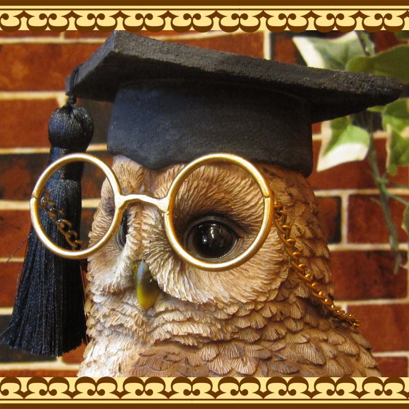 ꥢĻʪդΡեΥե奢ΥƥꥢˤΥʥȤȤƤ