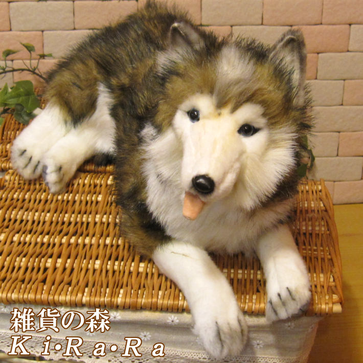 ���٥ꥢ��ϥ��������ɥå����֥������ꥢ��ʸ��Τ̤�����ߡ����̤���ʪ�����̤Υե����奢������ƥꥢ��