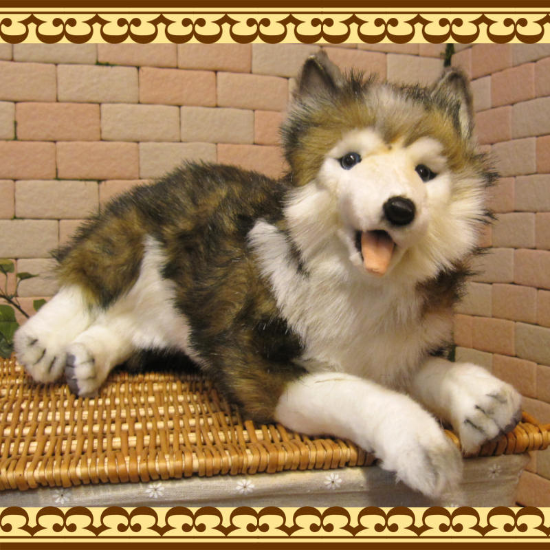 ���٥ꥢ��ϥ��������ɥå����֥������ꥢ��ʸ��Τ̤�����ߡ����̤���ʪ�����̤Υե����奢������ƥꥢ��