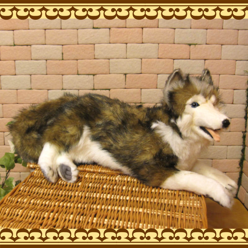 ���٥ꥢ��ϥ��������ɥå����֥������ꥢ��ʸ��Τ̤�����ߡ����̤���ʪ�����̤Υե����奢������ƥꥢ��