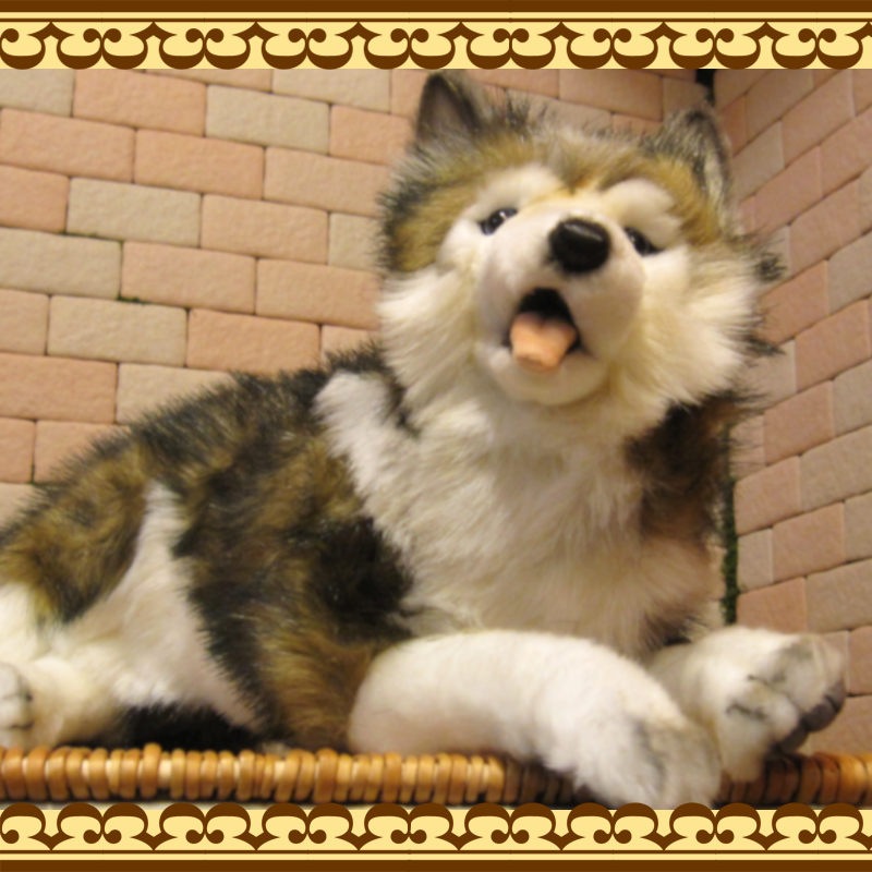 ���٥ꥢ��ϥ��������ɥå����֥������ꥢ��ʸ��Τ̤�����ߡ����̤���ʪ�����̤Υե����奢������ƥꥢ��