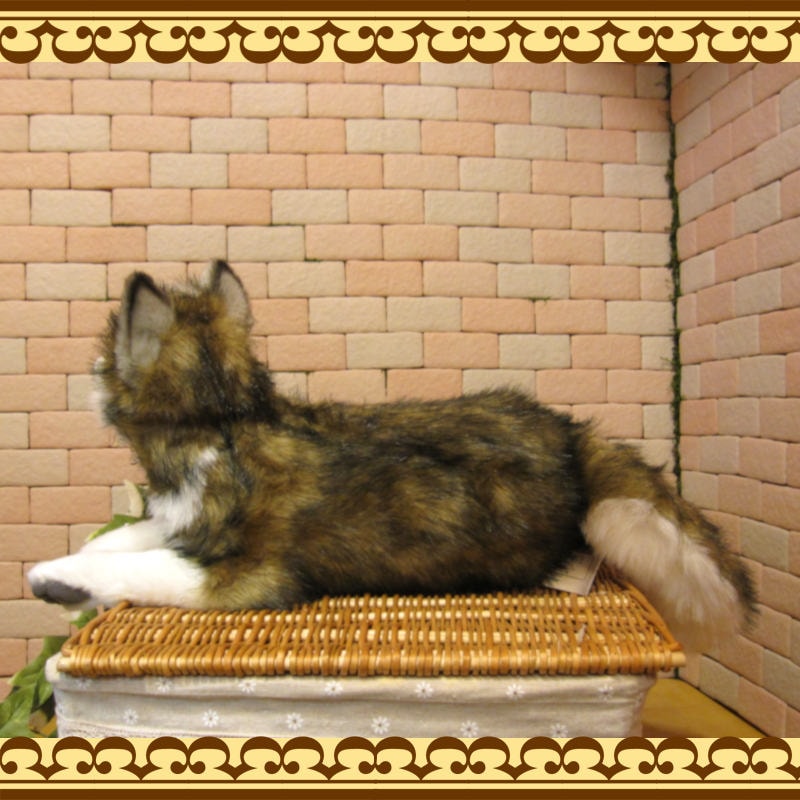 ���٥ꥢ��ϥ��������ɥå����֥������ꥢ��ʸ��Τ̤�����ߡ����̤���ʪ�����̤Υե����奢������ƥꥢ��