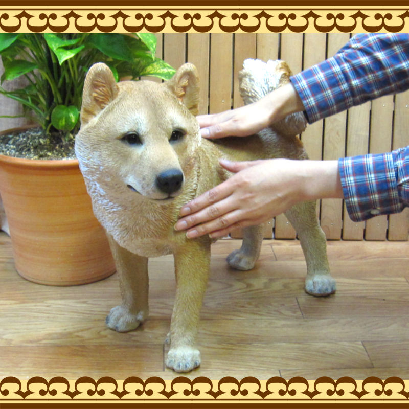 ������ʪ���Ƹ���������������ɡ��ӥå������������礭���ƥꥢ��ʥ��̤���ʪ���������Υ���ƥꥢ�ˤ����Υ����ʥ��ȤȤ��Ƥ��