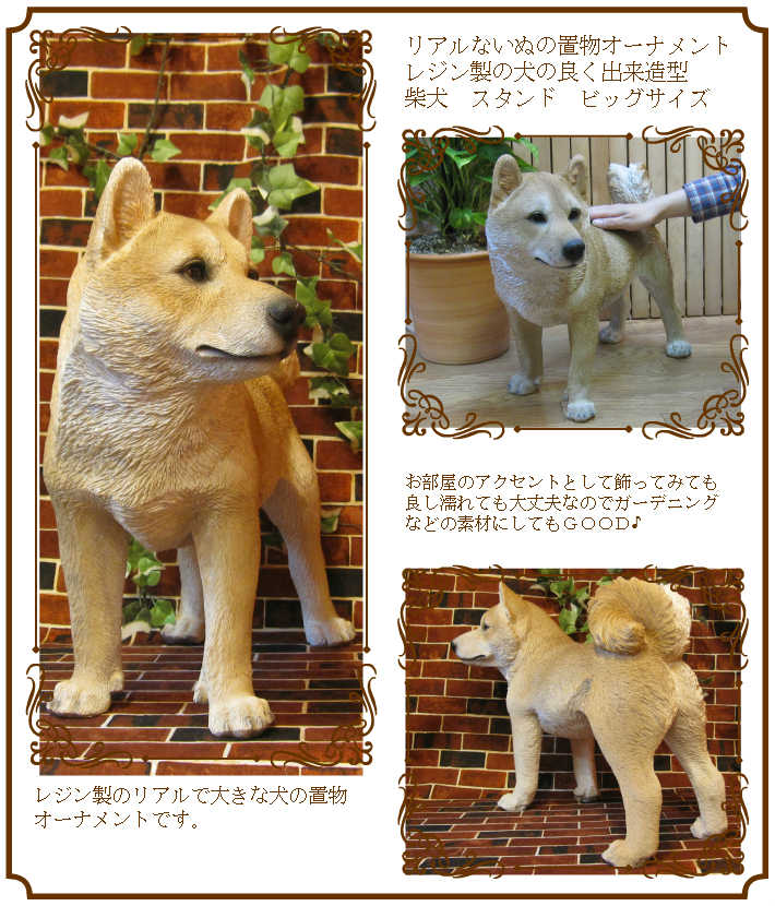 ������ʪ���Ƹ���������������ɡ��ӥå������������礭���ƥꥢ��ʥ��̤���ʪ���������Υ���ƥꥢ�ˤ����Υ����ʥ��ȤȤ��Ƥ��