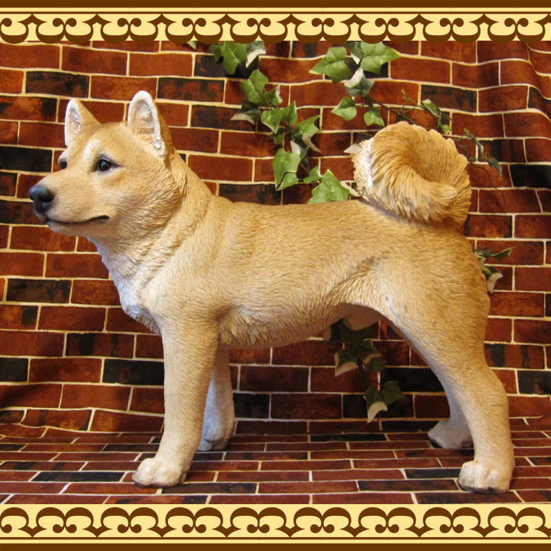 ������ʪ���Ƹ���������������ɡ��ӥå������������礭���ƥꥢ��ʥ��̤���ʪ���������Υ���ƥꥢ�ˤ����Υ����ʥ��ȤȤ��Ƥ��