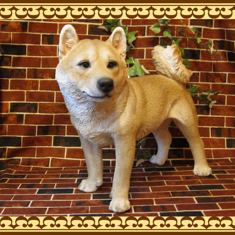 ������ʪ���Ƹ���������������ɡ��ӥå������������礭���ƥꥢ��ʥ��̤���ʪ���������Υ���ƥꥢ�ˤ����Υ����ʥ��ȤȤ��Ƥ��