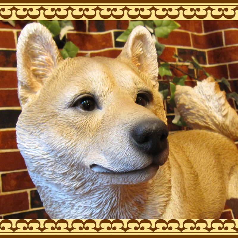 ������ʪ���Ƹ���������������ɡ��ӥå������������礭���ƥꥢ��ʥ��̤���ʪ���������Υ���ƥꥢ�ˤ����Υ����ʥ��ȤȤ��Ƥ��