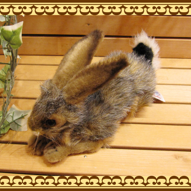 ��������������B�����ס��ꥢ��ʤ������Τ̤�����ߡ�