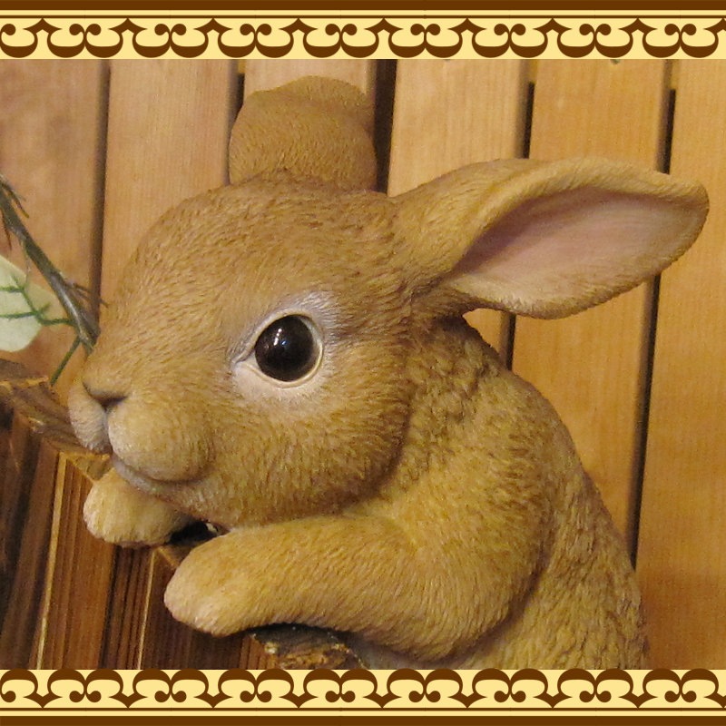 ���������Υ���ƥꥢ�ˤ����Υ����ʥ��ȤȤ��Ƥ�����ꥢ��ʥ���������ʪ���֤餵�����ӥåȡ��������Υե�����