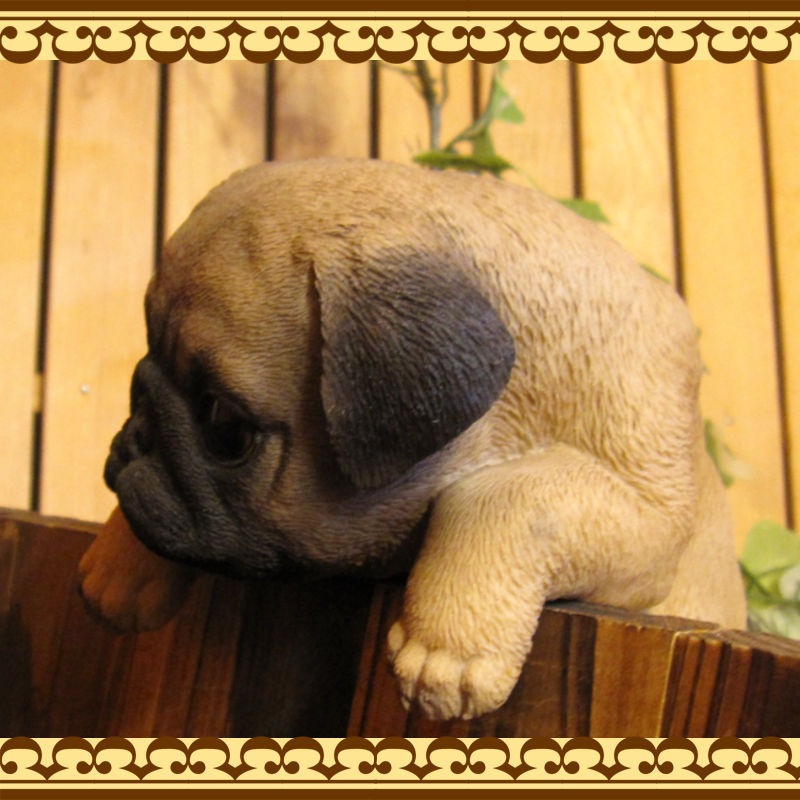 ���������Υ���ƥꥢ�ˤ����Υ����ʥ��ȤȤ��Ƥ�����ꥢ��ʸ�����ʪ���֤餵����ѥ������̤Υե�����