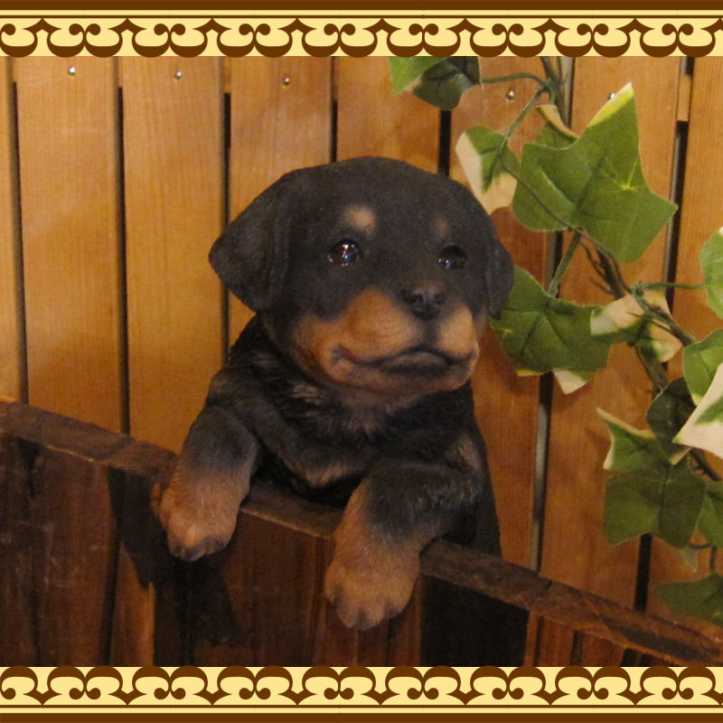 ���������Υ���ƥꥢ�ˤ����Υ����ʥ��ȤȤ��Ƥ�����ꥢ��ʸ�����ʪ���֤餵������åȥ磻�顼�����̤Υե�����