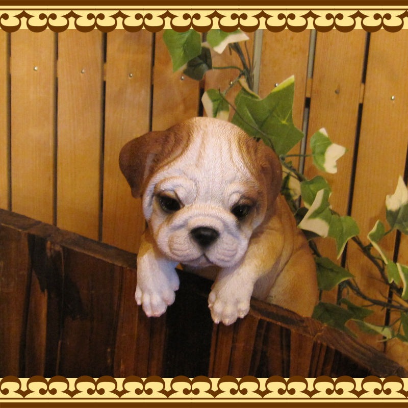 ���������Υ���ƥꥢ�ˤ����Υ����ʥ��ȤȤ��Ƥ�����ꥢ��ʸ�����ʪ���֤餵����֥�ɥå������̤Υե�����