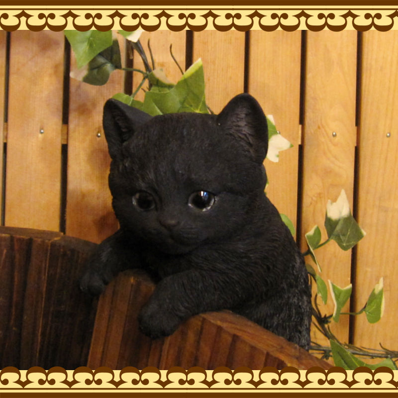 ���������Υ���ƥꥢ�ˤ����Υ����ʥ��ȤȤ��Ƥ�����ꥢ��ʻҥͥ�����ʪ���֤餵����٥ӡ�����å� �֥�å����Ҥͤ��Υե�����