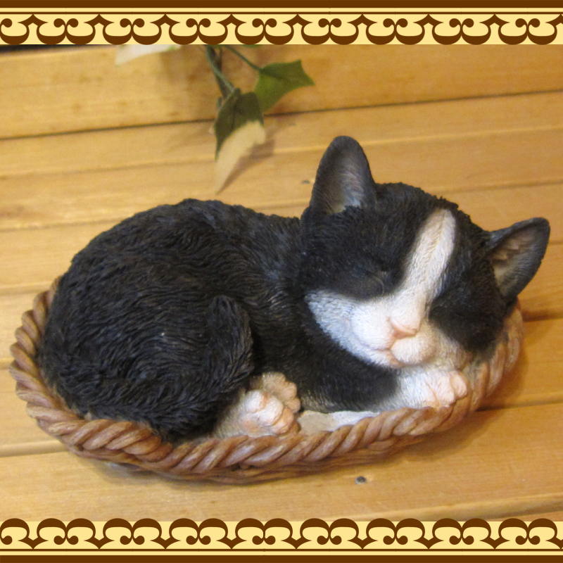 ���������Υ���ƥꥢ�˥����ǥ˥󥰤��Ǻ�ˤˡ��ꥢ��ʻ�ǭ����ʪ���쥸�������Х����åȥ���åȡ�Ȭ��졡�ҥͥ��Υե�����