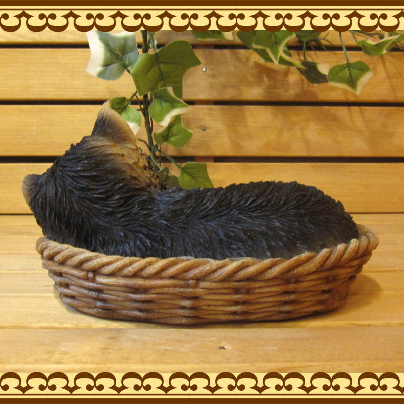 ���������Υ���ƥꥢ�ˤ����Υ����ʥ��ȤȤ��Ƥ�����ꥢ��ʸ�����ʪ���Х����åȥɥå����衼�����㡼�ƥꥢ�����Ҹ��Υե�����