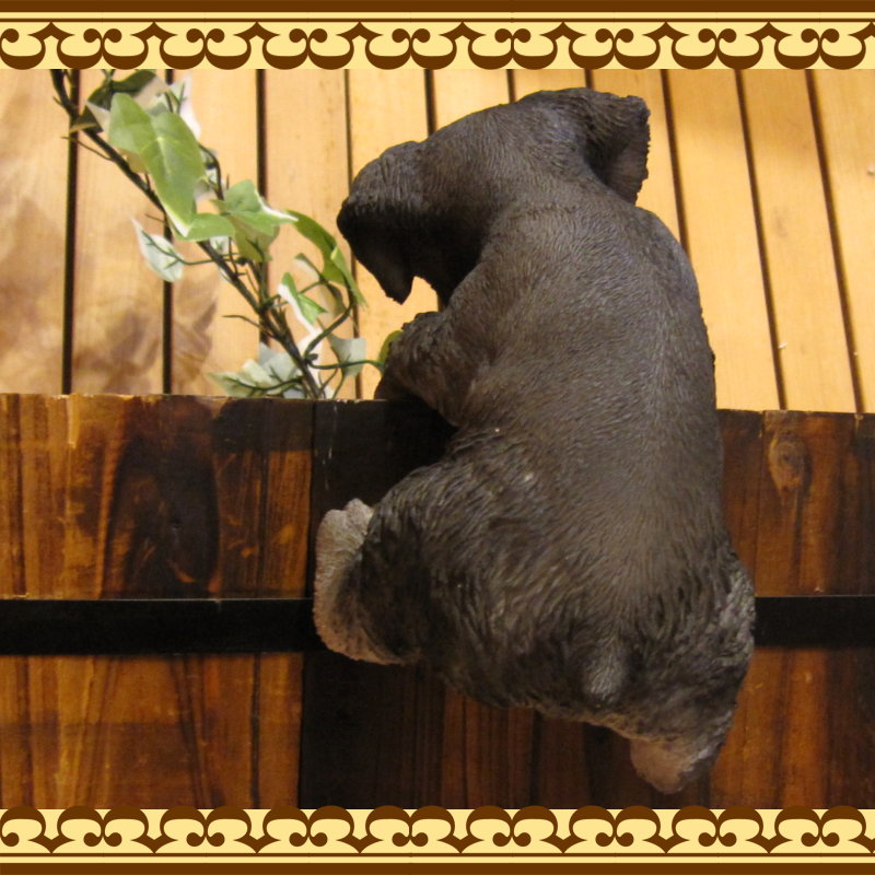 ʥʪꥢʸʪ֤餵ɥå̤ΥեΥƥꥢˤΥʥȤȤƤ