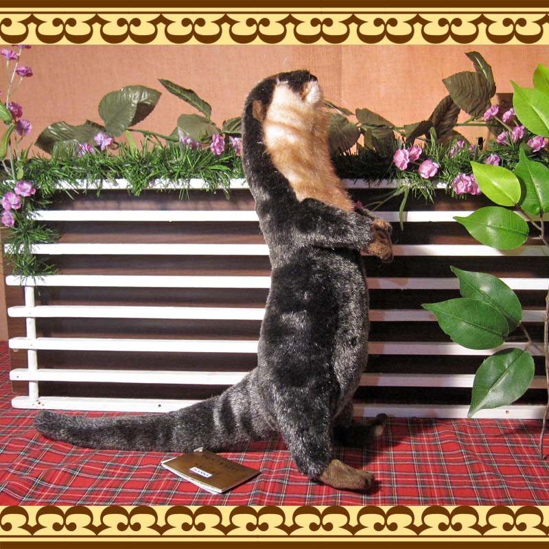 ���臘���������ף¡��ꥢ��ʥ��復���Τ̤������