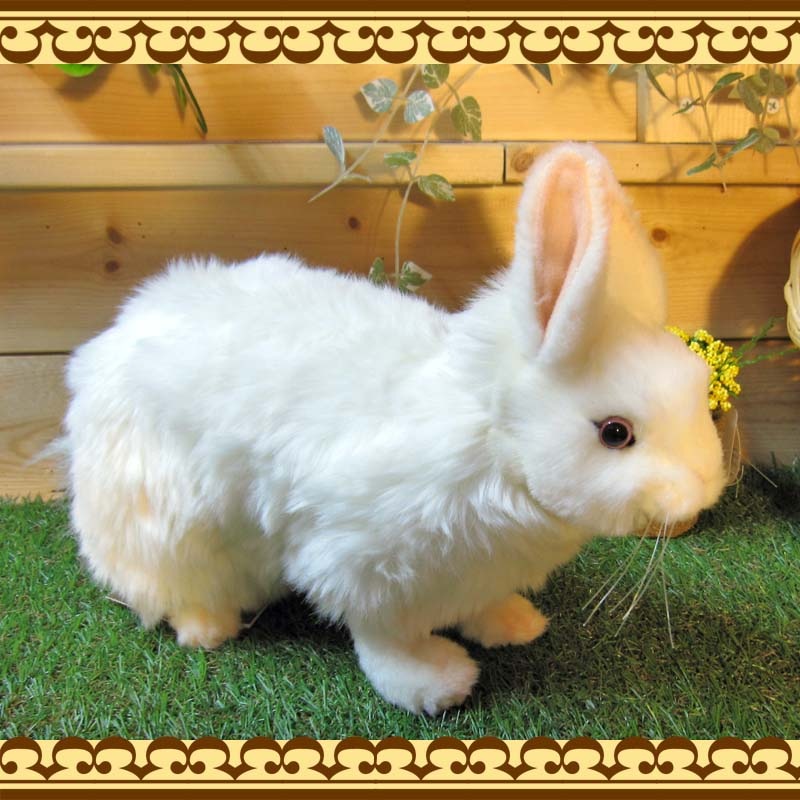 �㤦�������������ס��ꥢ��ʥ������Τ̤�����ߡ�����������ʪ����ӥåȥ��֥��������١�������ꡡ����ƥꥢ���Хˡ����å����ե����奢