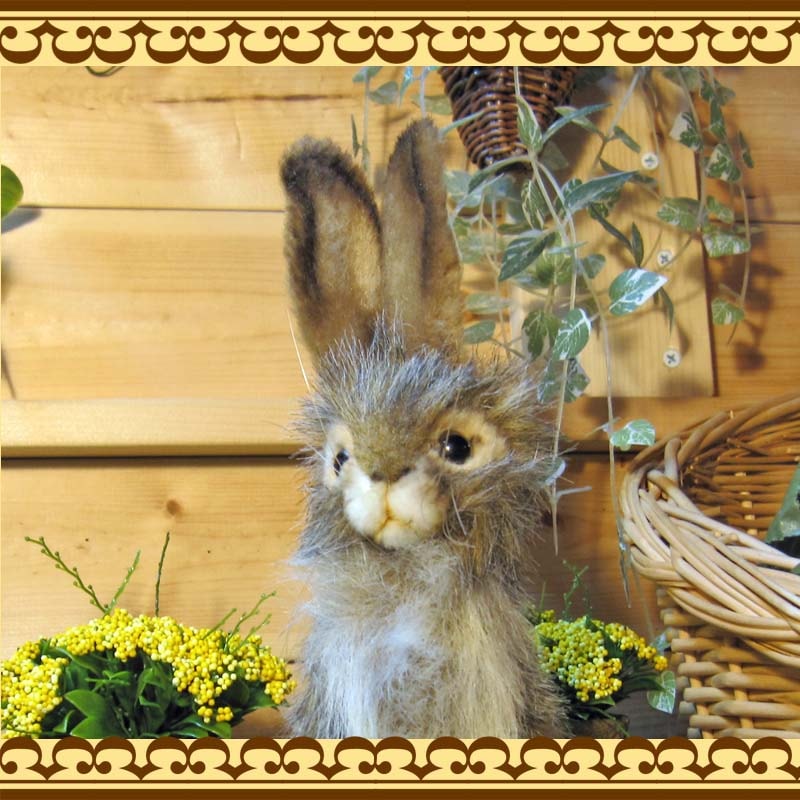 ���������������������ס��ꥢ��ʤ������Τ̤�����ߡ�