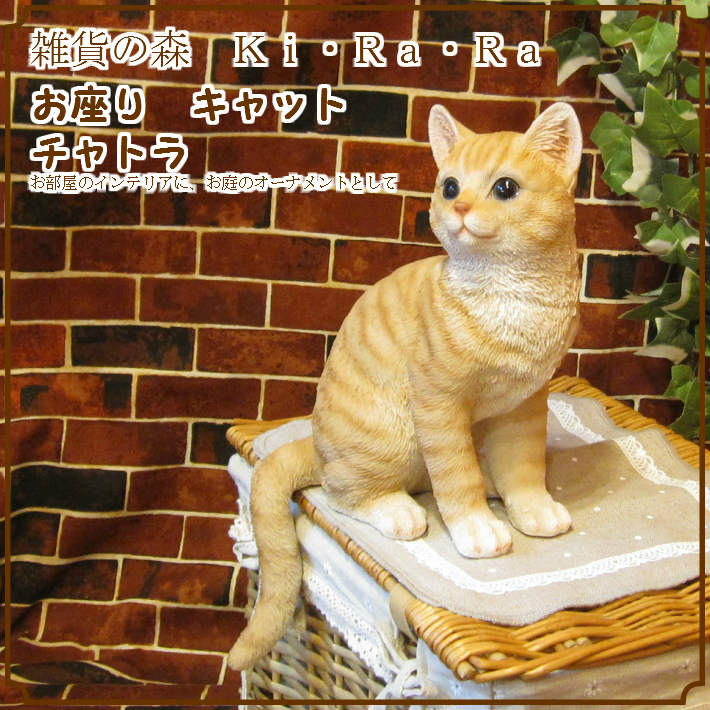 �ꥢ��ʥͥ�����ʪ�����¤ꥭ��åȡ�����ȥ顡�ͤ��Υե����奢��ǭ���֥������������Υ���ƥꥢ�ˤ����Υ����ʥ��ȤȤ���