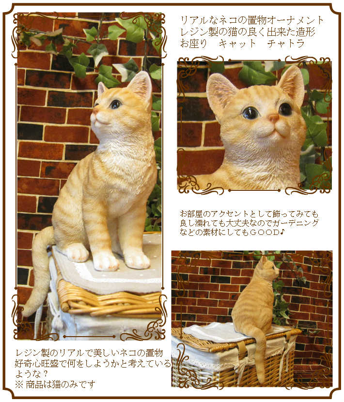 �ꥢ��ʥͥ�����ʪ�����¤ꥭ��åȡ�����ȥ顡�ͤ��Υե����奢��ǭ���֥������������Υ���ƥꥢ�ˤ����Υ����ʥ��ȤȤ���