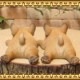 �ꥢ��ʻҸ�����ʪ���ޥ���ޥ��ͥåȥɥå� ���ĥ��åȡ��ե����֥�ɥå����ե�֥롡�Ҥ��̤Υե��������������Υ���ƥꥢ�ˡ��ǥ�������Υ��֥����Ȥ���