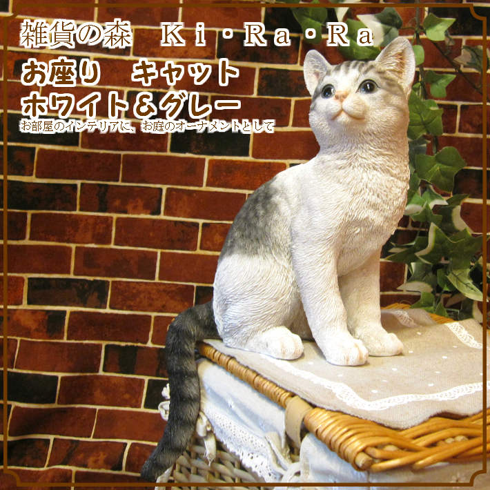 �ꥢ��ʥͥ�����ʪ�����¤ꥭ��åȡ��ۥ磻�ȡ����졼���ͤ��Υե����奢��ǭ���֥������������Υ���ƥꥢ�ˤ����Υ����ʥ��ȤȤ���