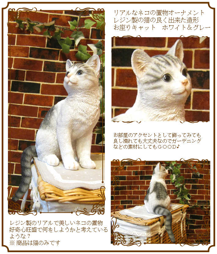�ꥢ��ʥͥ�����ʪ�����¤ꥭ��åȡ��ۥ磻�ȡ����졼���ͤ��Υե����奢��ǭ���֥������������Υ���ƥꥢ�ˤ����Υ����ʥ��ȤȤ���