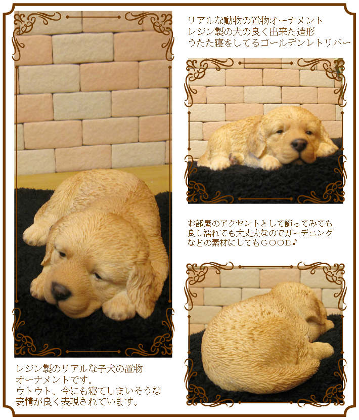 ������ǥ��ȥ�С����ꥢ��ʸ�����ʪ�������ȥ��ȡ��ͤ�ͤࡡ���̤Υե��������������Υ���ƥꥢ�ˤ����Υ����ʥ��ȤȤ��Ƥ����