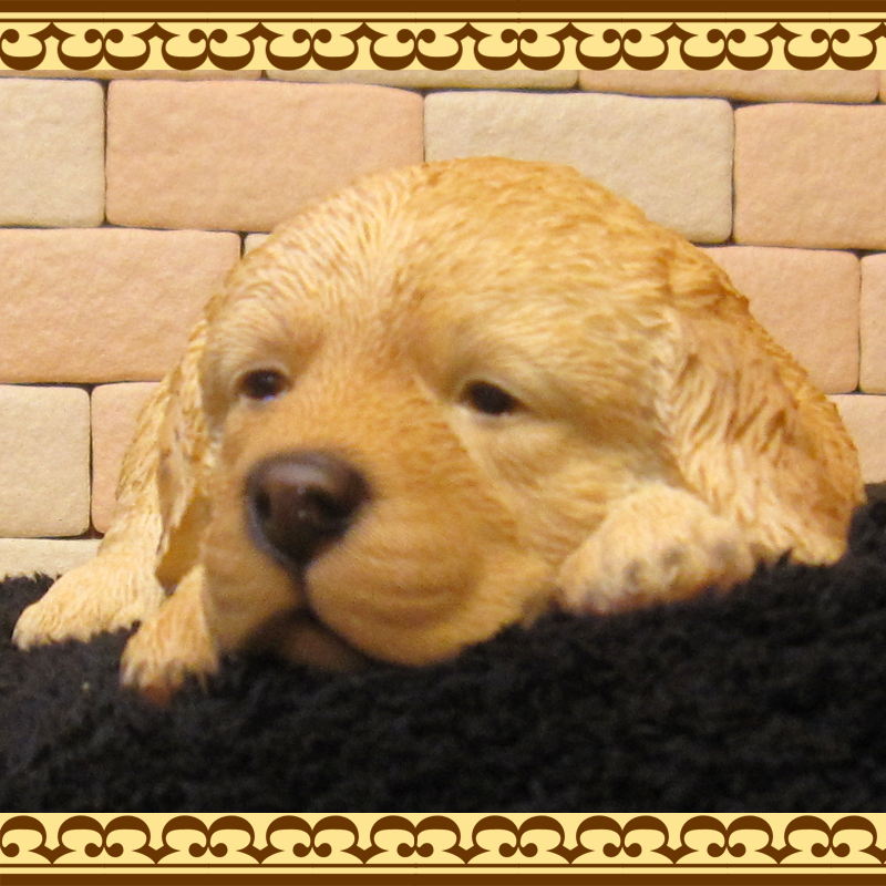 ������ǥ��ȥ�С����ꥢ��ʸ�����ʪ�������ȥ��ȡ��ͤ�ͤࡡ���̤Υե��������������Υ���ƥꥢ�ˤ����Υ����ʥ��ȤȤ��Ƥ����