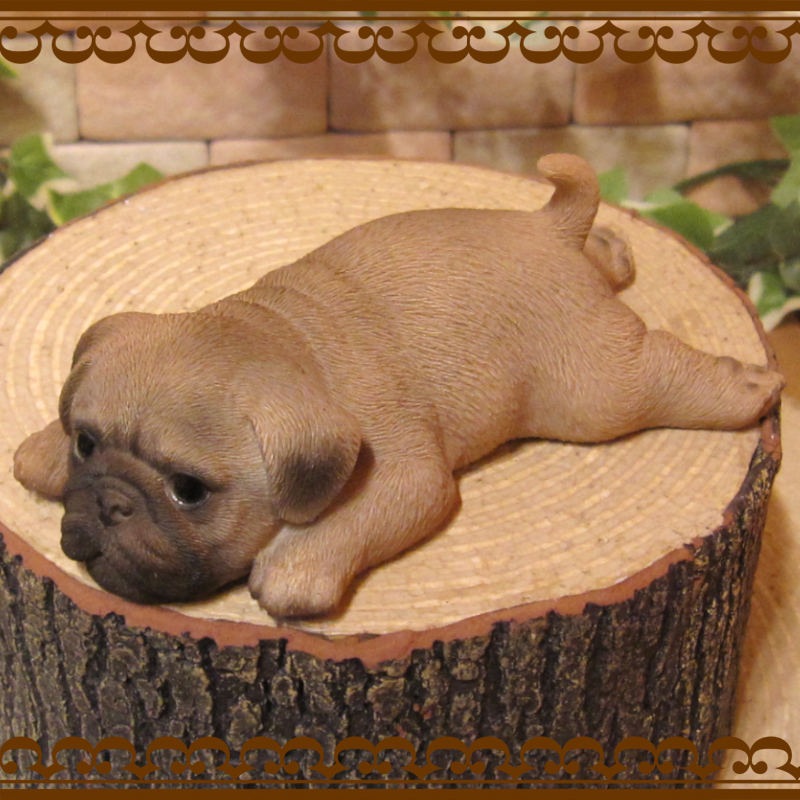 �ꥢ��ʻҸ�����ʪ���ޥ���ޥ��ͥåȥɥå� ���ĥ��åȡ��ѥ����Ҥ��̤Υե��������������Υ���ƥꥢ�ˡ��ǥ�������Υ��֥����Ȥ���