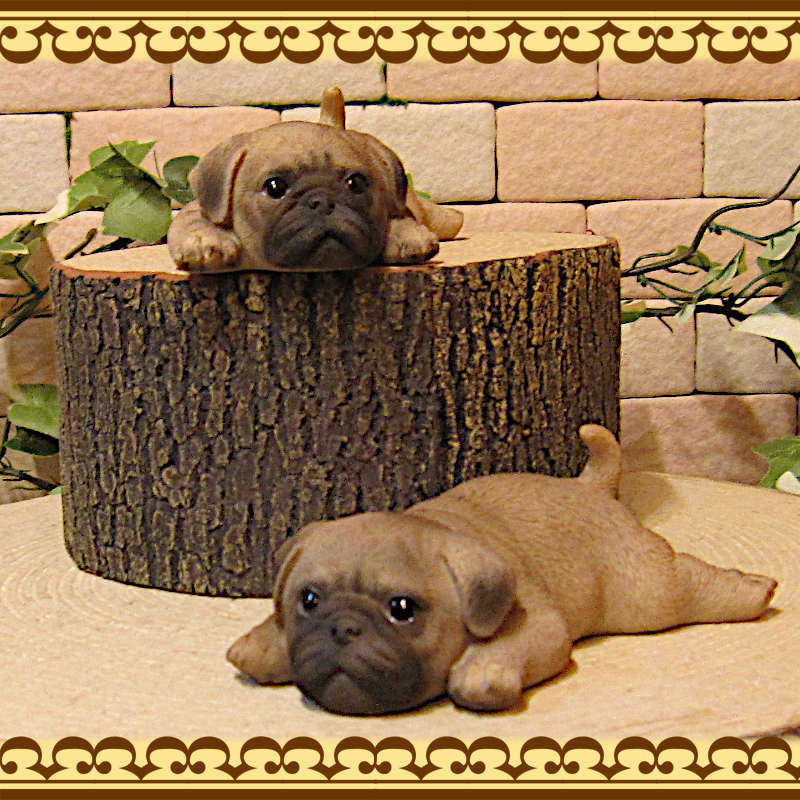 �ꥢ��ʻҸ�����ʪ���ޥ���ޥ��ͥåȥɥå� ���ĥ��åȡ��ѥ����Ҥ��̤Υե��������������Υ���ƥꥢ�ˡ��ǥ�������Υ��֥����Ȥ���