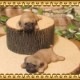 �ꥢ��ʻҸ�����ʪ���ޥ���ޥ��ͥåȥɥå� ���ĥ��åȡ��ѥ����Ҥ��̤Υե��������������Υ���ƥꥢ�ˡ��ǥ�������Υ��֥����Ȥ���