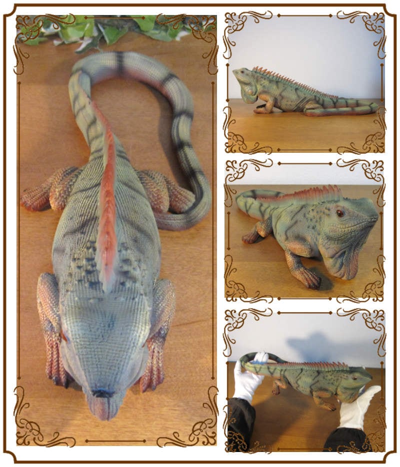 イグアナ飼育セット引き取り限定