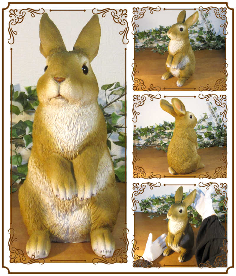 �ꥢ��ʤ���������ʪ��������ɡ���ӥåȡ��顼�������ס����������ե����奢���Хˡ������١�������ꡡ���֥����������ǥ˥󥰡��������Υ���ƥꥢ�ˤ����Υ����ʥ��ȤȤ��Ƥ��