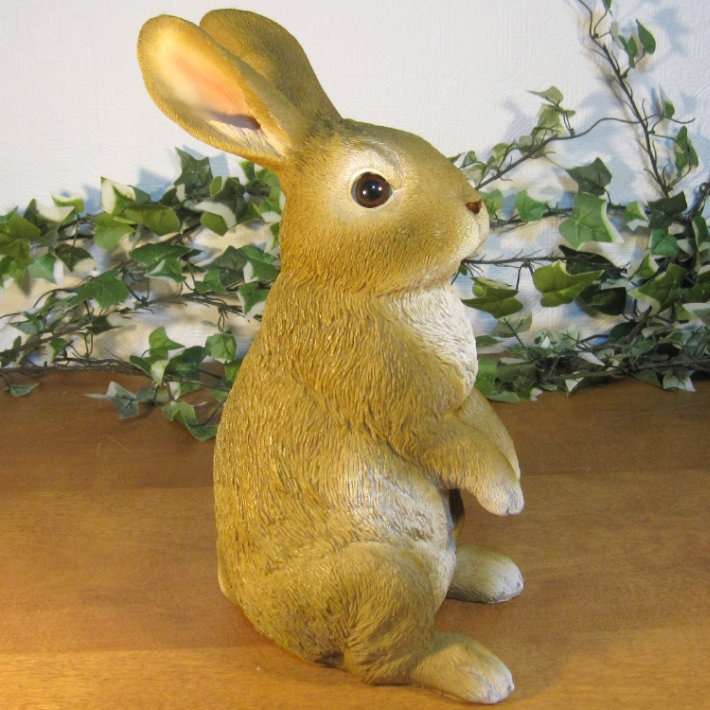 �ꥢ��ʤ���������ʪ��������ɡ���ӥåȡ��顼�������ס����������ե����奢���Хˡ������١�������ꡡ���֥����������ǥ˥󥰡��������Υ���ƥꥢ�ˤ����Υ����ʥ��ȤȤ��Ƥ��