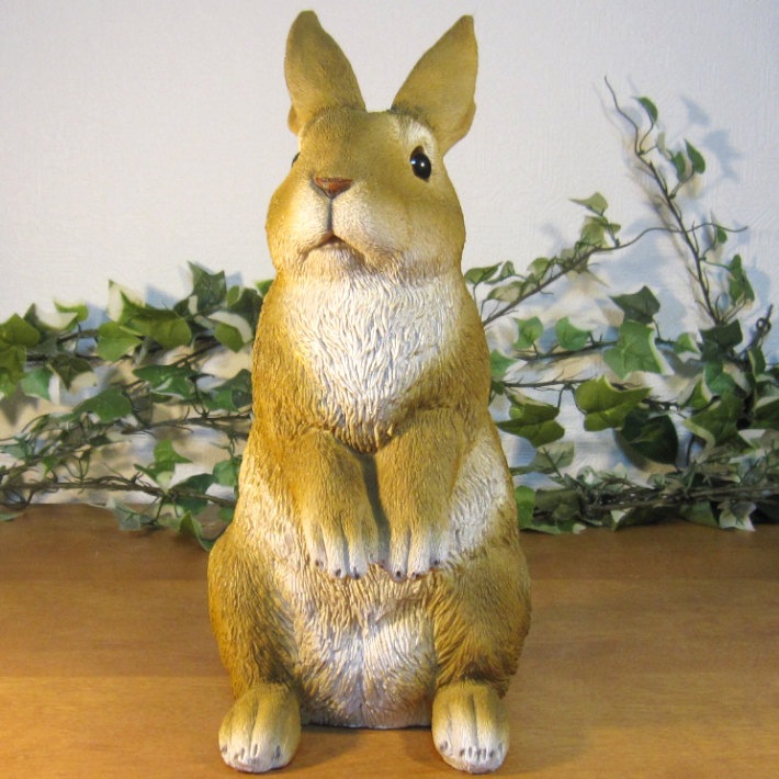 �ꥢ��ʤ���������ʪ��������ɡ���ӥåȡ��顼�������ס����������ե����奢���Хˡ������١�������ꡡ���֥����������ǥ˥󥰡��������Υ���ƥꥢ�ˤ����Υ����ʥ��ȤȤ��Ƥ��