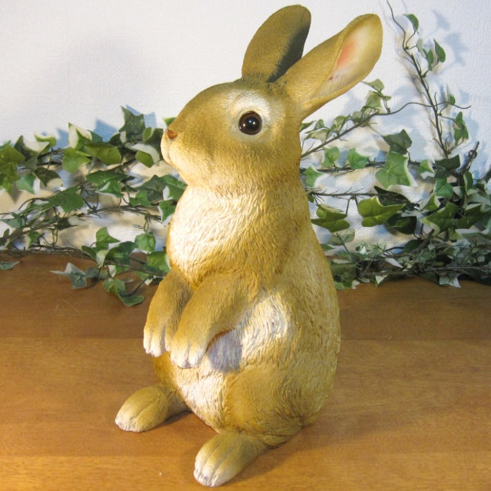 �ꥢ��ʤ���������ʪ��������ɡ���ӥåȡ��顼�������ס����������ե����奢���Хˡ������١�������ꡡ���֥����������ǥ˥󥰡��������Υ���ƥꥢ�ˤ����Υ����ʥ��ȤȤ��Ƥ��