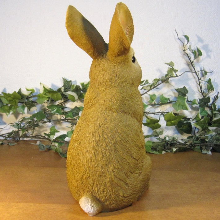 �ꥢ��ʤ���������ʪ��������ɡ���ӥåȡ��顼�������ס����������ե����奢���Хˡ������١�������ꡡ���֥����������ǥ˥󥰡��������Υ���ƥꥢ�ˤ����Υ����ʥ��ȤȤ��Ƥ��