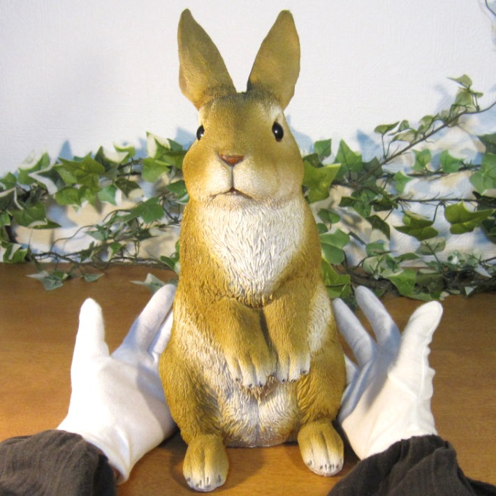 �ꥢ��ʤ���������ʪ��������ɡ���ӥåȡ��顼�������ס����������ե����奢���Хˡ������١�������ꡡ���֥����������ǥ˥󥰡��������Υ���ƥꥢ�ˤ����Υ����ʥ��ȤȤ��Ƥ��